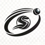 yy易游 YYSPORTS 官方品牌标志